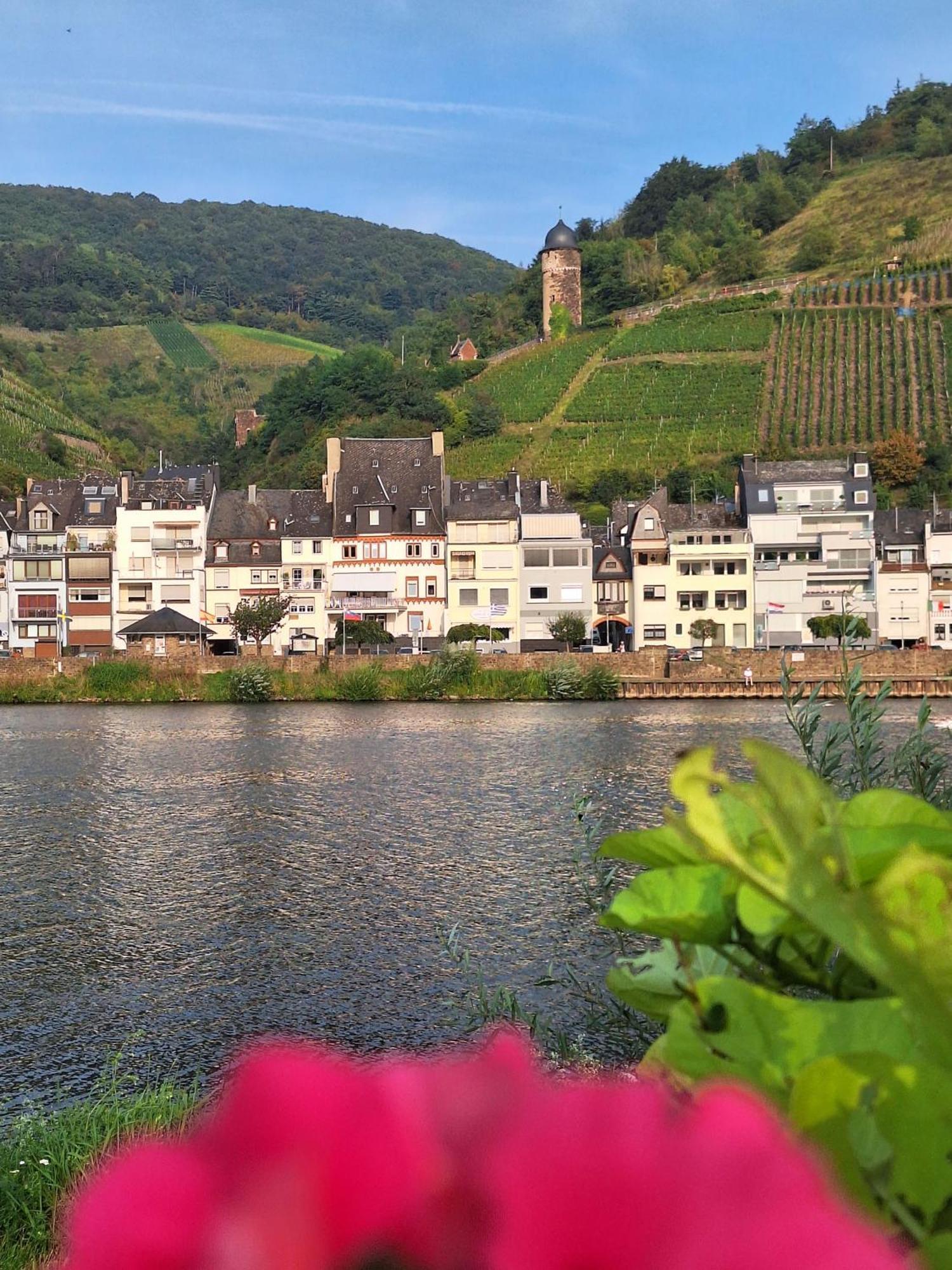 Mosel View Old Town Apartments Целль-ан-дер-Мозель Экстерьер фото